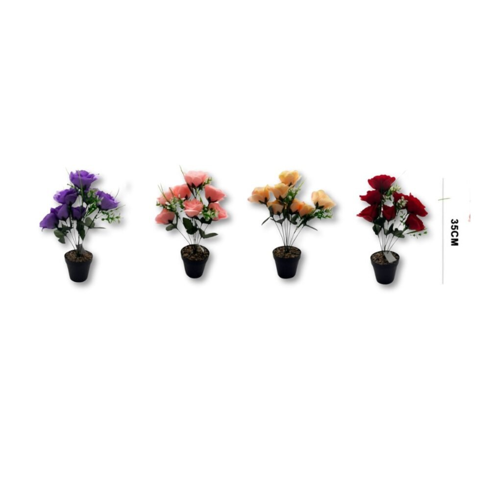 BNM FLORES CON MACETA