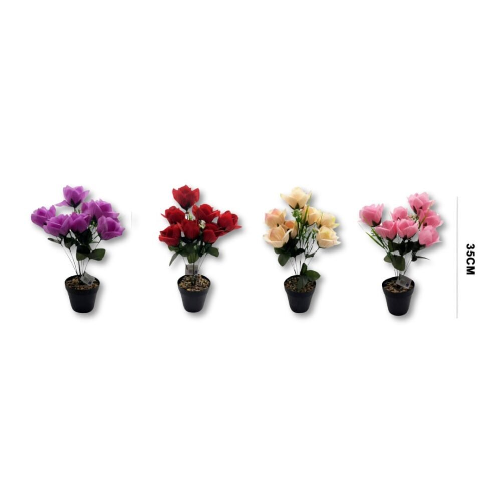 QWER FLORES C/ MACETA
