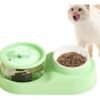 PILETA PARA MASCOTAS + COMEDERO