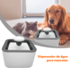 PILETA DE MASCOTA