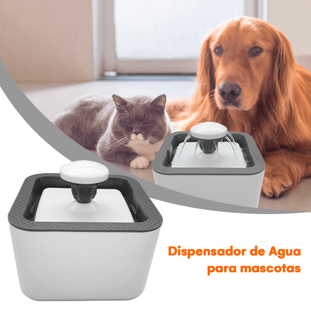 PILETA DE MASCOTA
