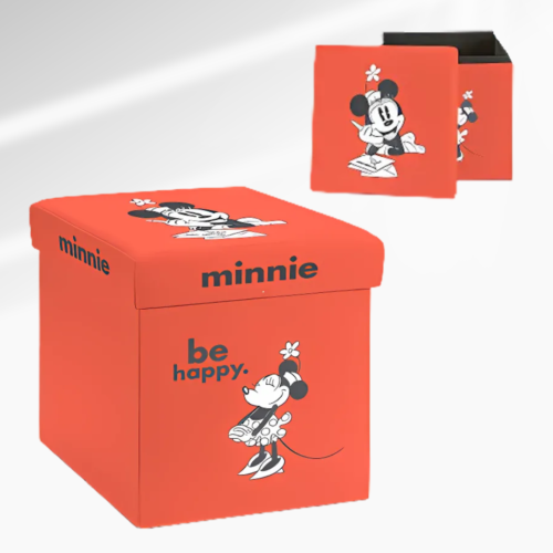 CAJA DE ALMACENAMIENTO