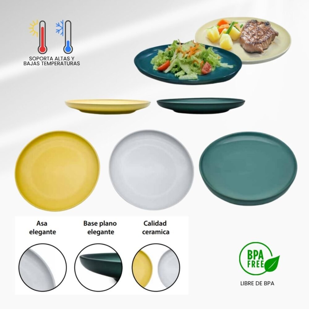 78 PLATO DE CERAMICA