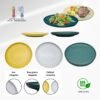PLATO DE CERAMICA