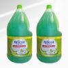 LAVAVAJILLA 4 LT EFICAZ
