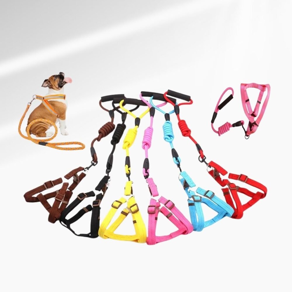 CORREA DE MASCOTA TALLA M