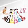 CORREA DE MASCOTA TALLA M