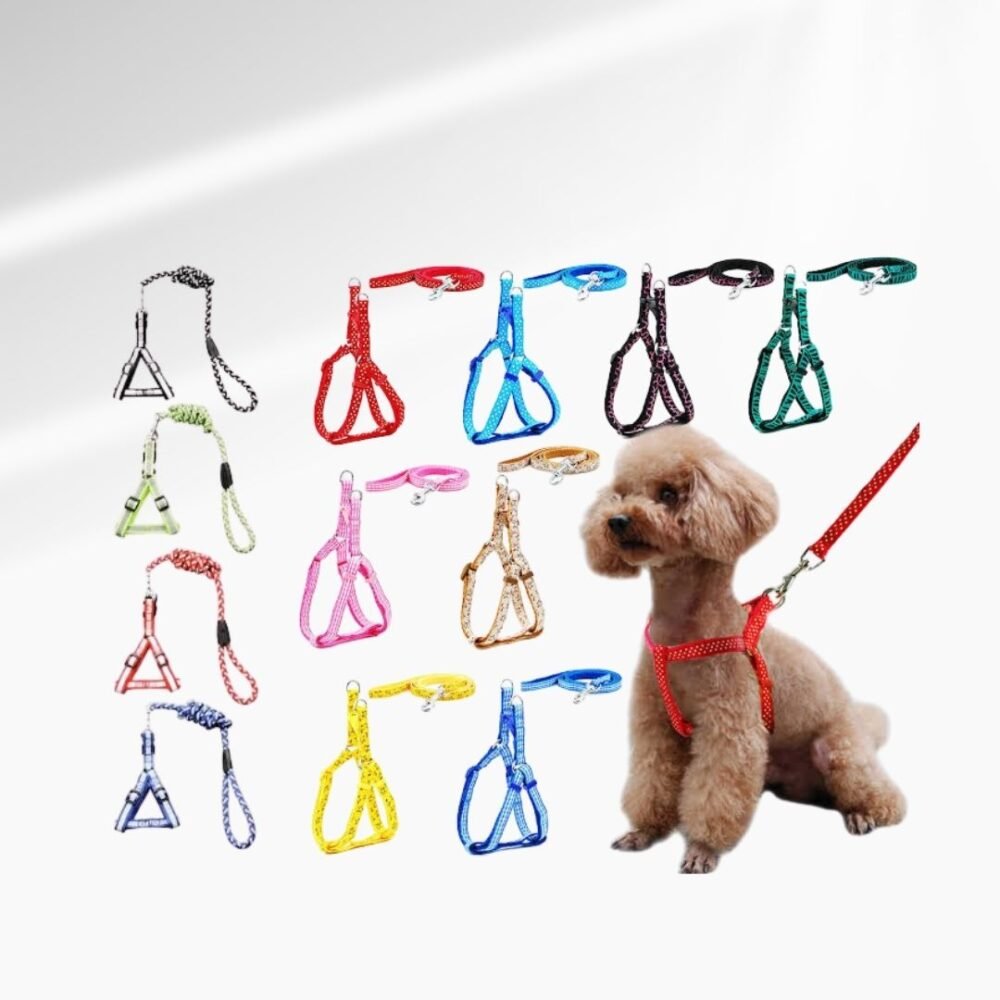CORREA DE MASCOTA TALLA S