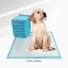 PISO PAÑALES PARA MASCOTA 60*90CM (20 PCS)