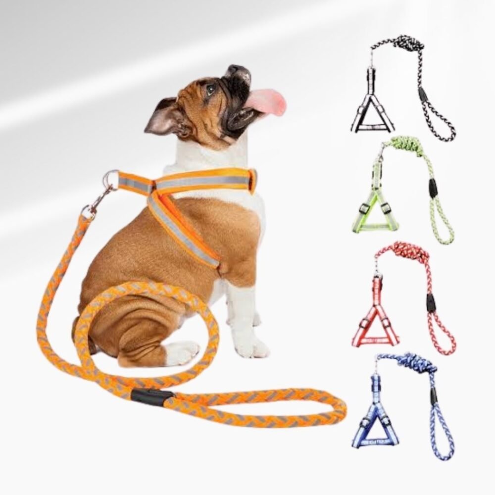 CORREA DE MASCOTA TALLA L