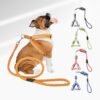 CORREA DE MASCOTA TALLA L