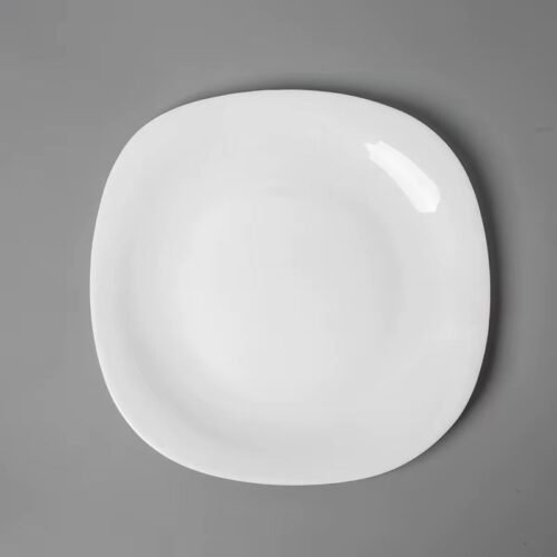 WhatsApp Image 2026-01-20 at 12.19.22 PM (2) PLATO CUADRADO 28CM