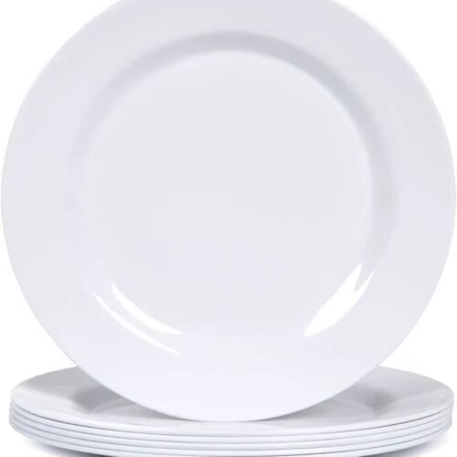 WhatsApp Image 2026-01-20 at 12.19.22 PM PLATO PARRILLERO 28CM